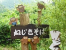 DSCN1423