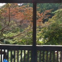 ２階のテラス風景